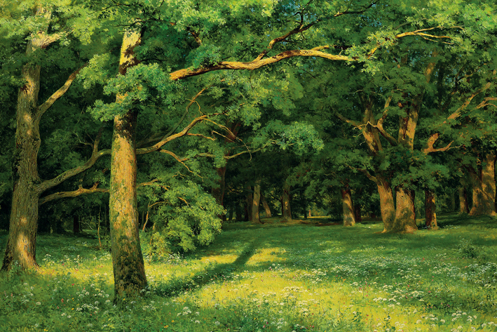  伊凡·伊凡诺维奇·希施金 Ivan I. Shishkin —— Ivan Shishkin-107